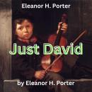 Eleanor H. Porter: Just David Audiobook