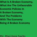 What Is A Broken Economy, What Are The Unfavorable Economic Policies In A Broken Economy, And The Pr Audiobook