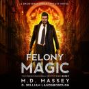 Felony Magic: A Druidverse Urban Fantasy Novel Audiobook