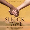 Shock & Awe Audiobook