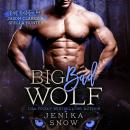 Big Bad Wolf Audiobook