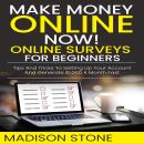 Make Money Online NOW! Online Surveys for Beginners: A Step by Step Guide to Generate Extra Income a Audiobook