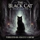 The Black Cat Audiobook