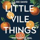 Little Vile Things: The Fort Of Mal Audiobook