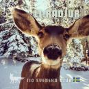 [Swedish] - Rådjur: Tio svenska djur Audiobook