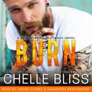 Burn Audiobook