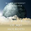 The Widowing of Mrs Holroyd Audiobook