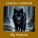 Big Medicine Audiobook