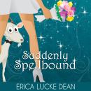 Suddenly Spellbound Audiobook