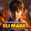 The Curious Mysteries of Eli Marks Audiobook