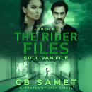 Sullivan File Audiobook