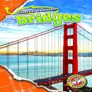Everyday Engineering: Bridges Audiobook
