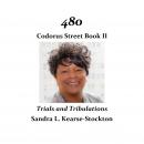 480 Codorus Street Book II: Trials and Tribulations Audiobook