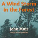 A Wind Storm In The Forest Audiobook