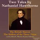 Two Tales From Nathaniel Hawthorne Audiobook
