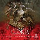 [Spanish] - Campos de gloria Audiobook