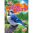 Blue Jays Audiobook