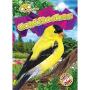 Goldfinches Audiobook