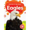 Eagles Audiobook