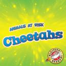 Cheetahs Audiobook