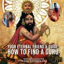 How To Find A Guru: Your Eternal Friend & Guide Audiobook