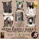 Neem Karoli Baba's Beautiful Gang Of Four Audiobook