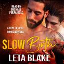 Slow Birth: Heat of Love, Book 2.5 Audiobook