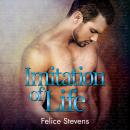 Imitation of Life Audiobook