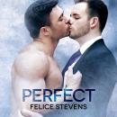 Perfect: Soumates, Book 4 Audiobook