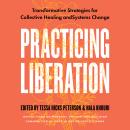 Practicing Liberation: Transformative Strategies for Collective Healing & Systems Change: Reflection Audiobook