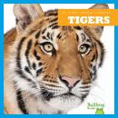 Cover of Tigers