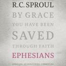 Ephesians: An Expositional Commentary Audiobook