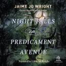 Night Falls on Predicament Avenue Audiobook