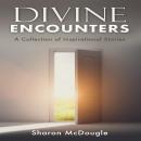 DIVINE ENCOUNTERS: A Collection of Inspirational Stories Audiobook