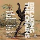 Breaking the Chains: African American Slave Resistance Audiobook