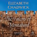 The Falcons of Montabard Audiobook