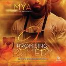 A Promising Remedy Audiobook