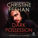 Dark Possession Audiobook
