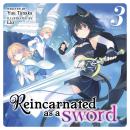 Reincarnated as a Sword (Light Novel) Vol. 3 Audiobook