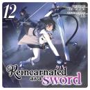 Reincarnated as a Sword (Light Novel) Vol. 12 Audiobook