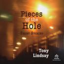 Pieces of the Hole: Short Stories Audiobook