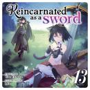 Reincarnated as a Sword (Light Novel) Vol. 13 Audiobook