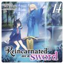 Reincarnated as a Sword (Light Novel) Vol. 14 Audiobook