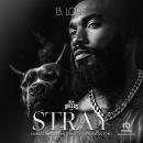 Stray Audiobook