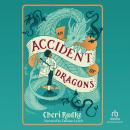 An Accident of Dragons Audiobook