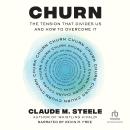 Churn: The Tension That Divides Us and How to Overcome It Audiobook