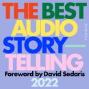 Cover of The Best Audio Storytelling: 2022