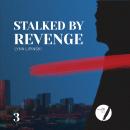 Stalked By Revenge Audiobook