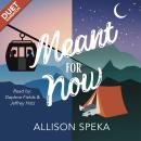 Meant for Now Audiobook