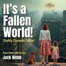 It's A Fallen World Audiobook